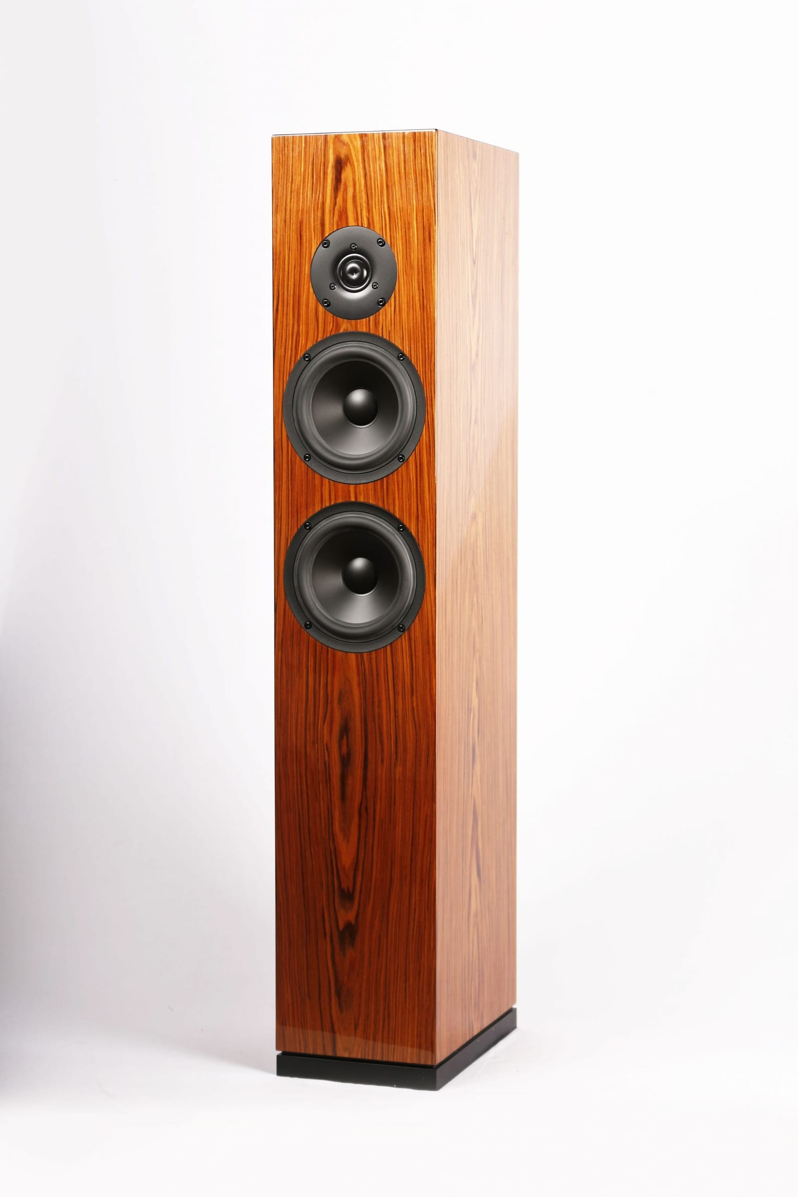 Arya floorstander in rosewood veneer gloss at three-quarter view: a 29 mm ring dome tweeter above two 6-inch midwoofers on a slim tower standing on a black plinth.