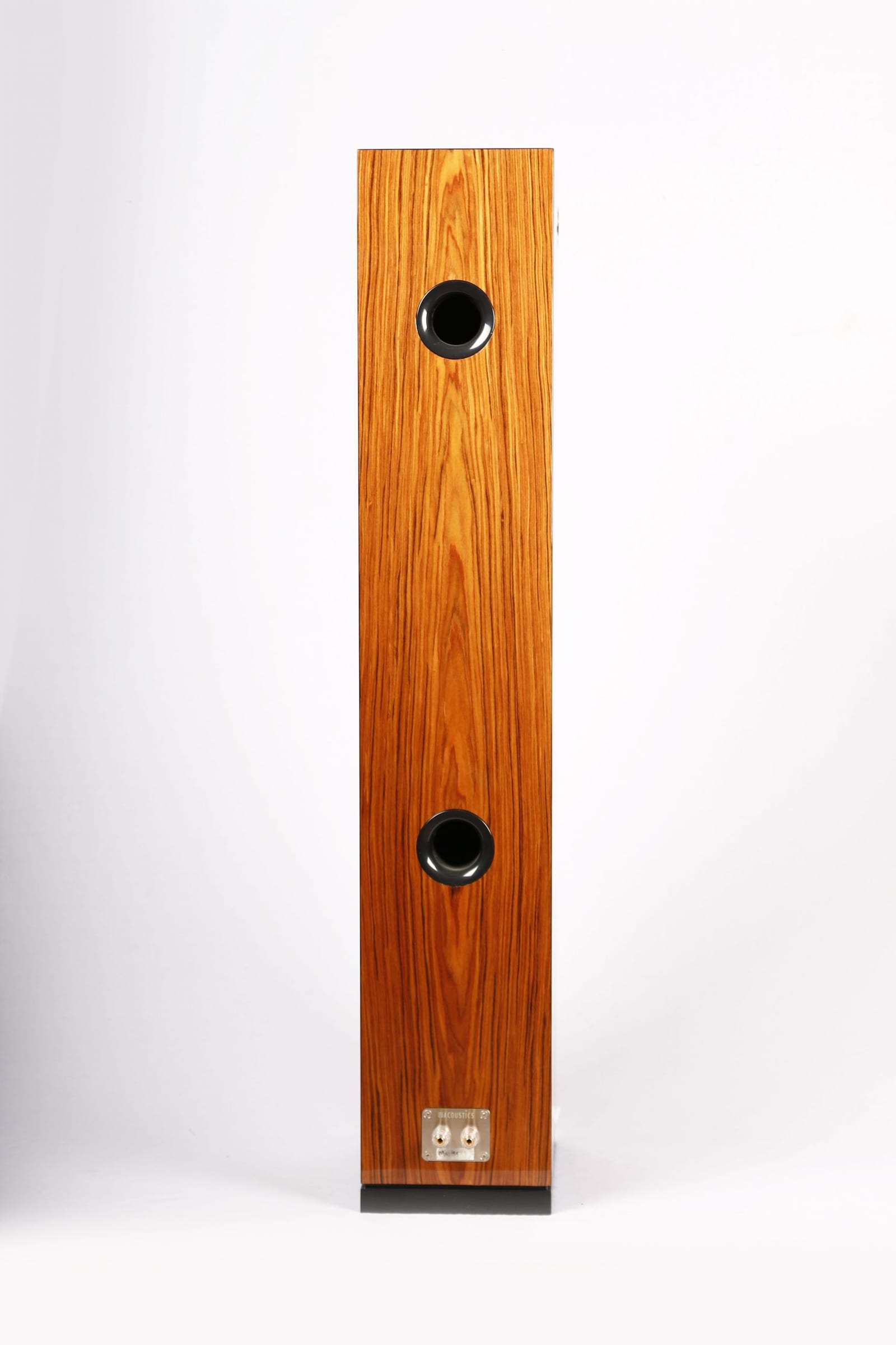 Rear of the Arya in rosewood veneer: two circular port openings set into the back panel with a terminal plate low down near the plinth.